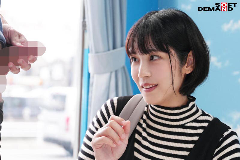 こんなの挿れたらどうなるの…