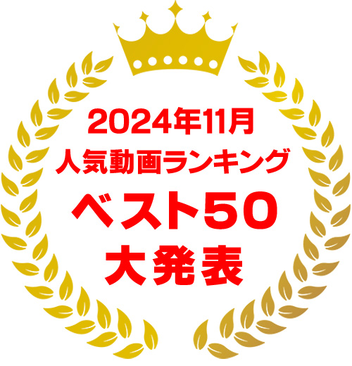 2024年11月ランキング