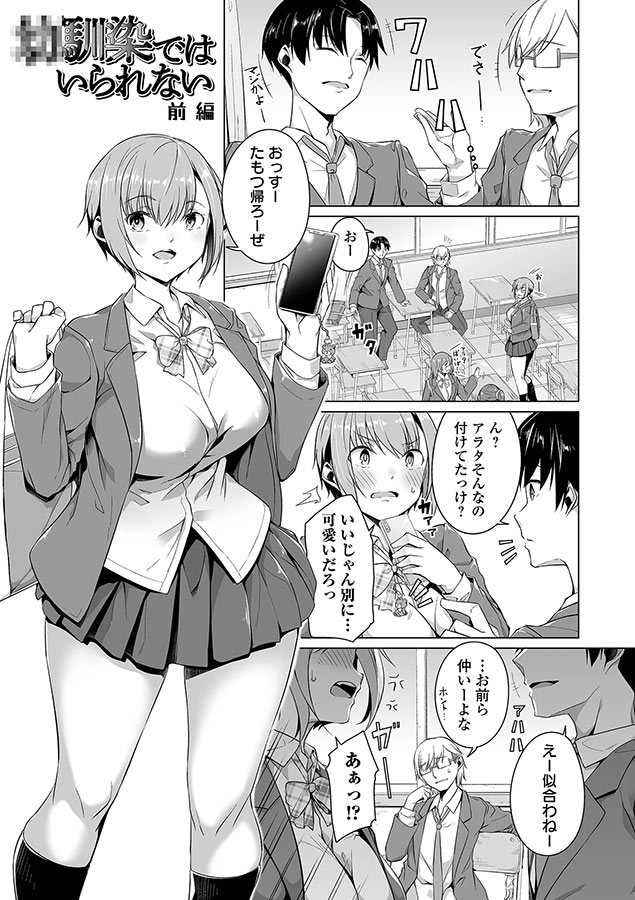 恋する乙女はネトラレビッチ