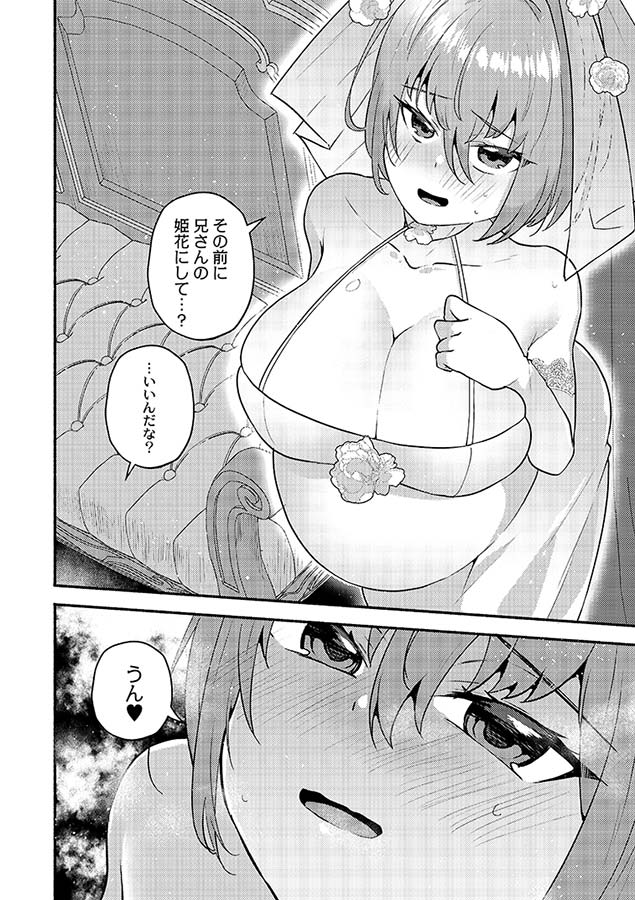 大丈夫｡実妹の攻略本だよ｡