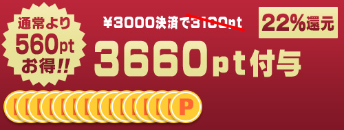 3000円決済