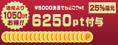 5000円決済