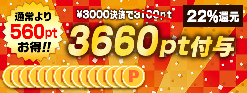 3000円決済