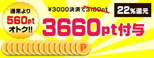 3000円決済